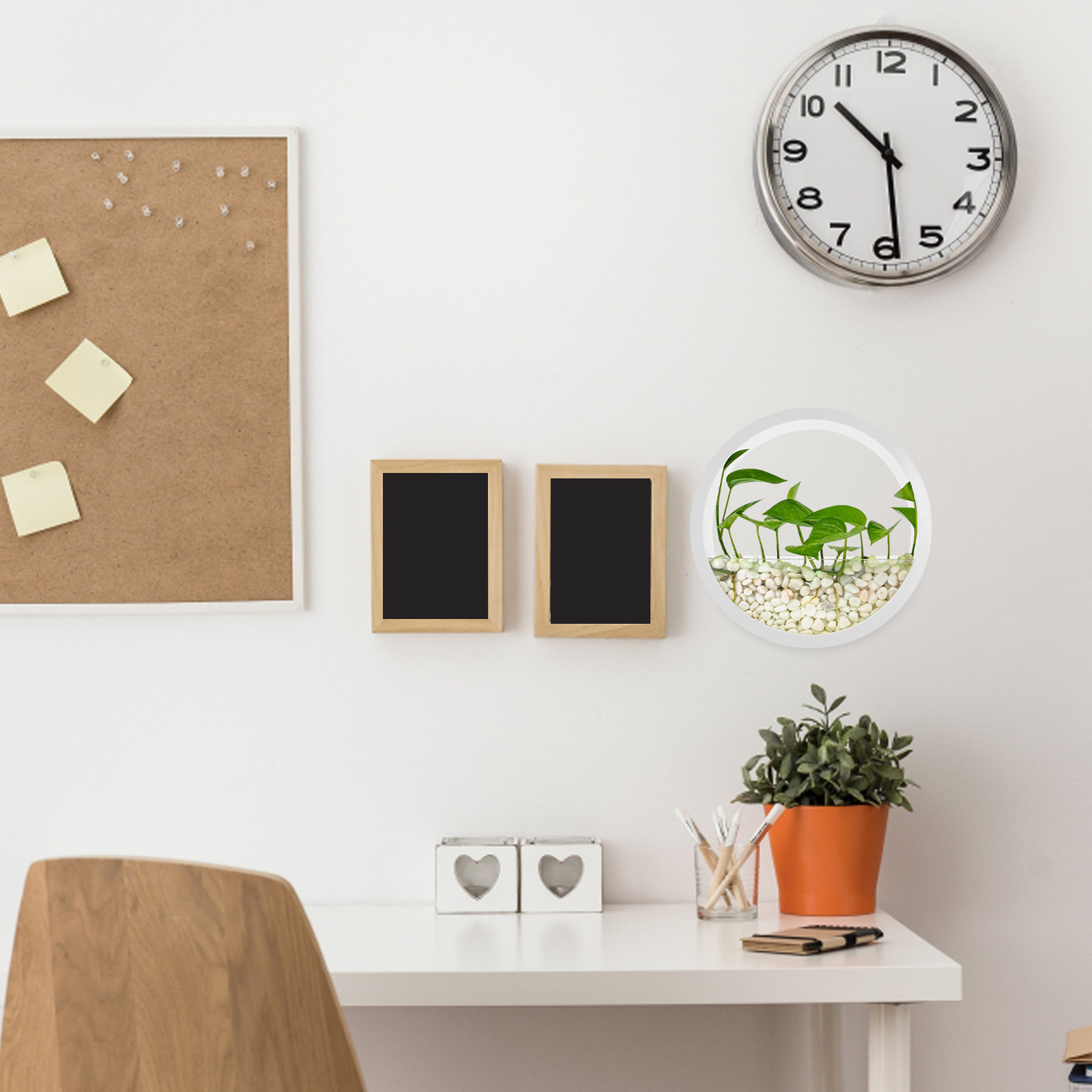 Vertical Wall Planter - Vaso da Parete Rotondo Trasparente per