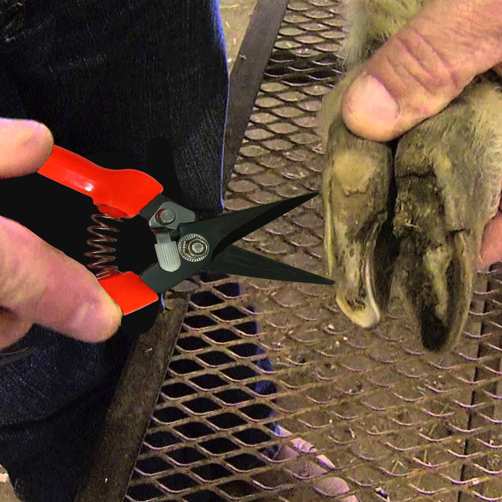 Garden Hand Trowel - Forbici per zoccoli di pecore, cesoie