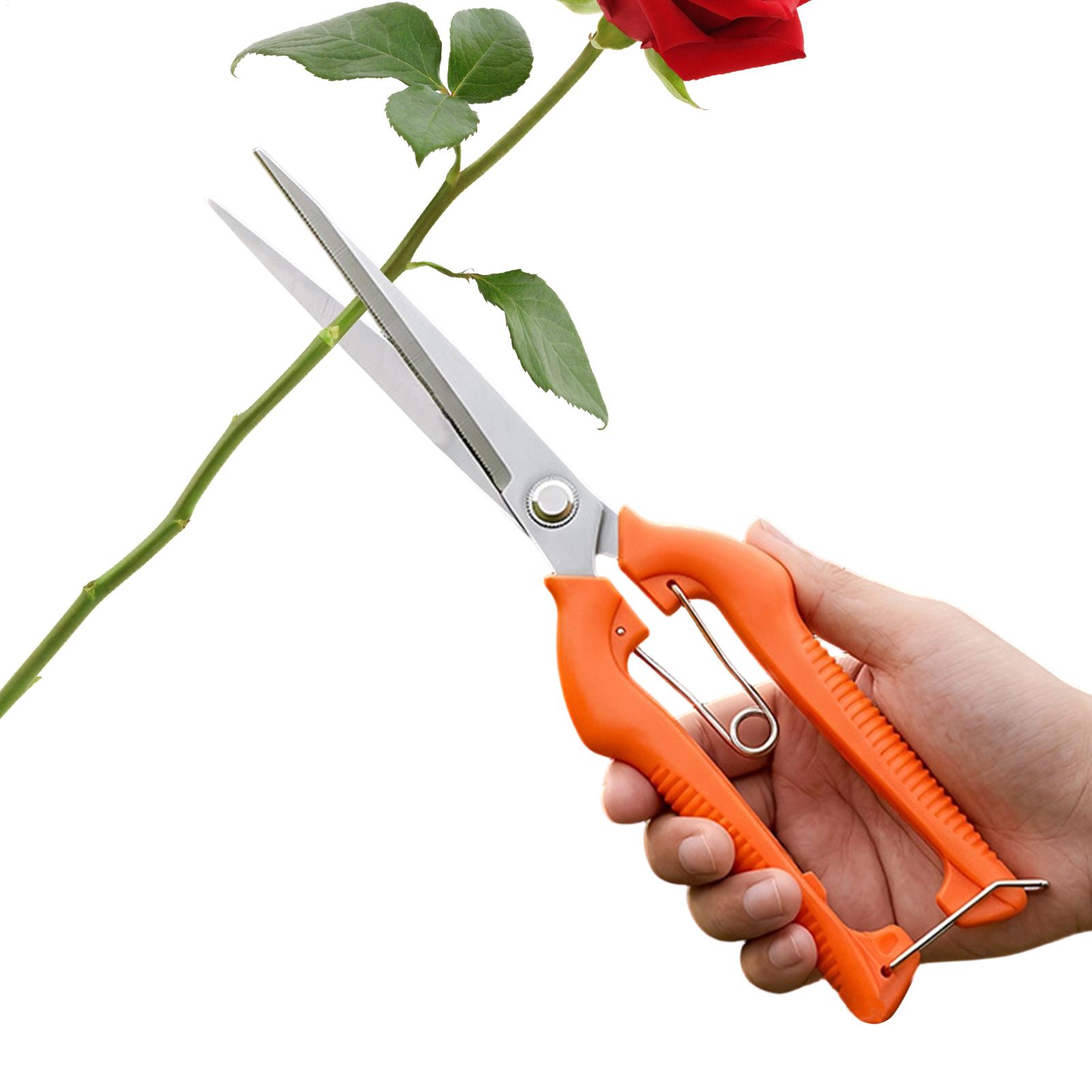 Gardening Tools For Beginners - Forbici da Potatura Professionali in Acciaio