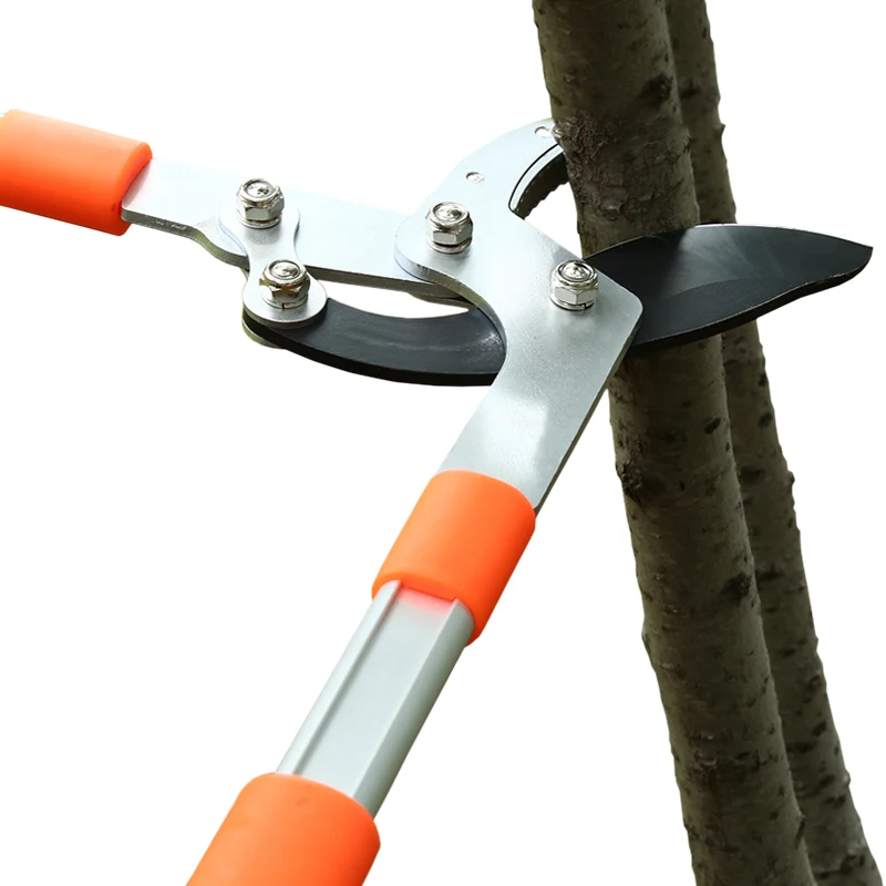 Gardening Tools German - Forbici a lunga lunghezza Siepe Bigorna