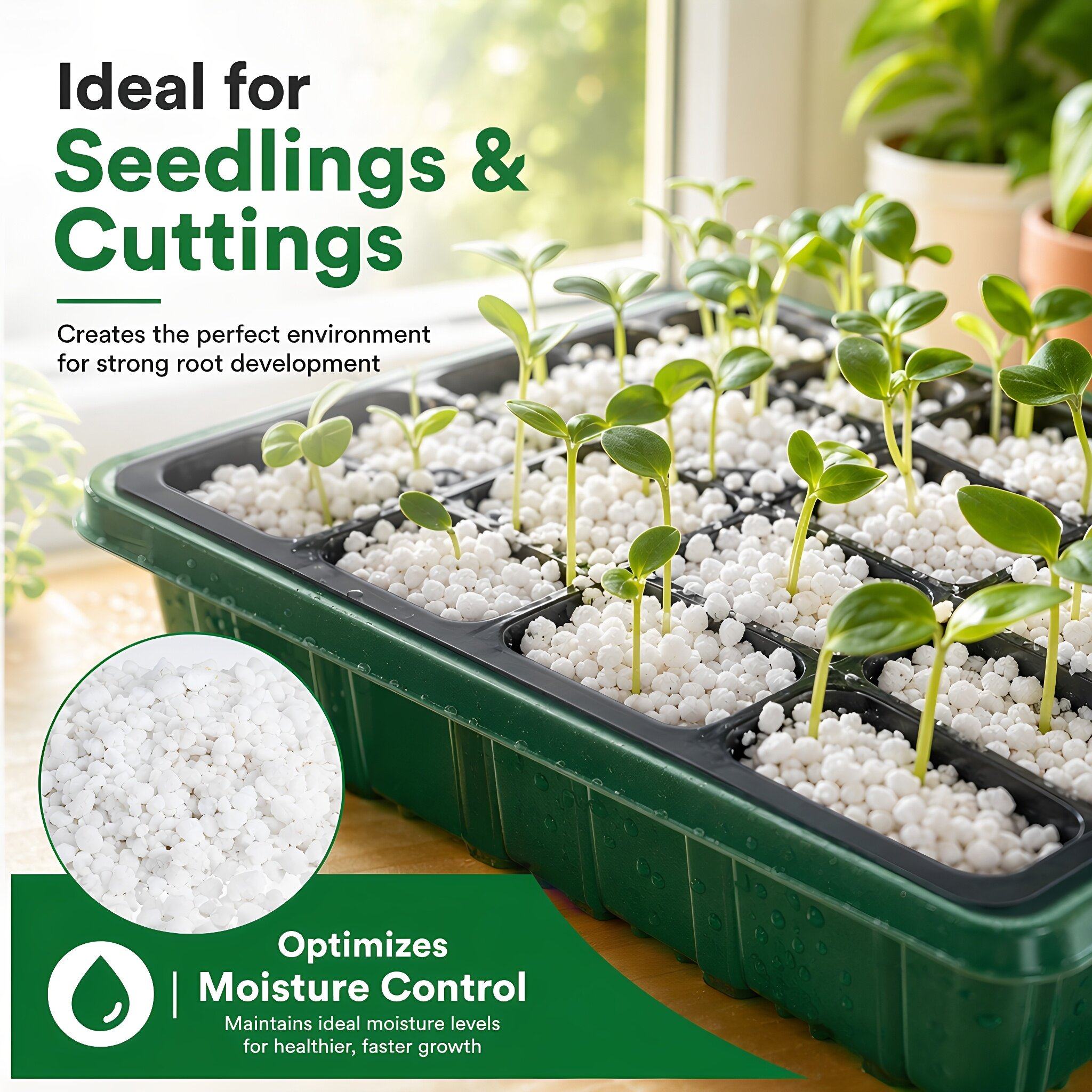 Perlite per Giardinaggio: Cond - Horticulture Soil Perlite recensione e prezzo