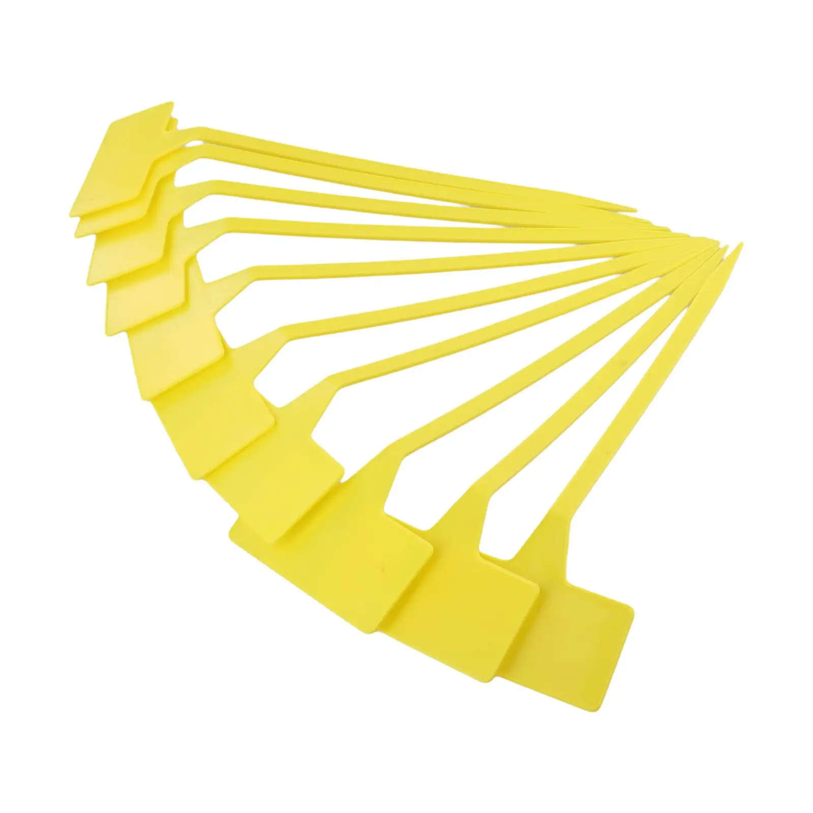 Etichette per piante domestich - Gardening Tool Diy recensione e prezzo