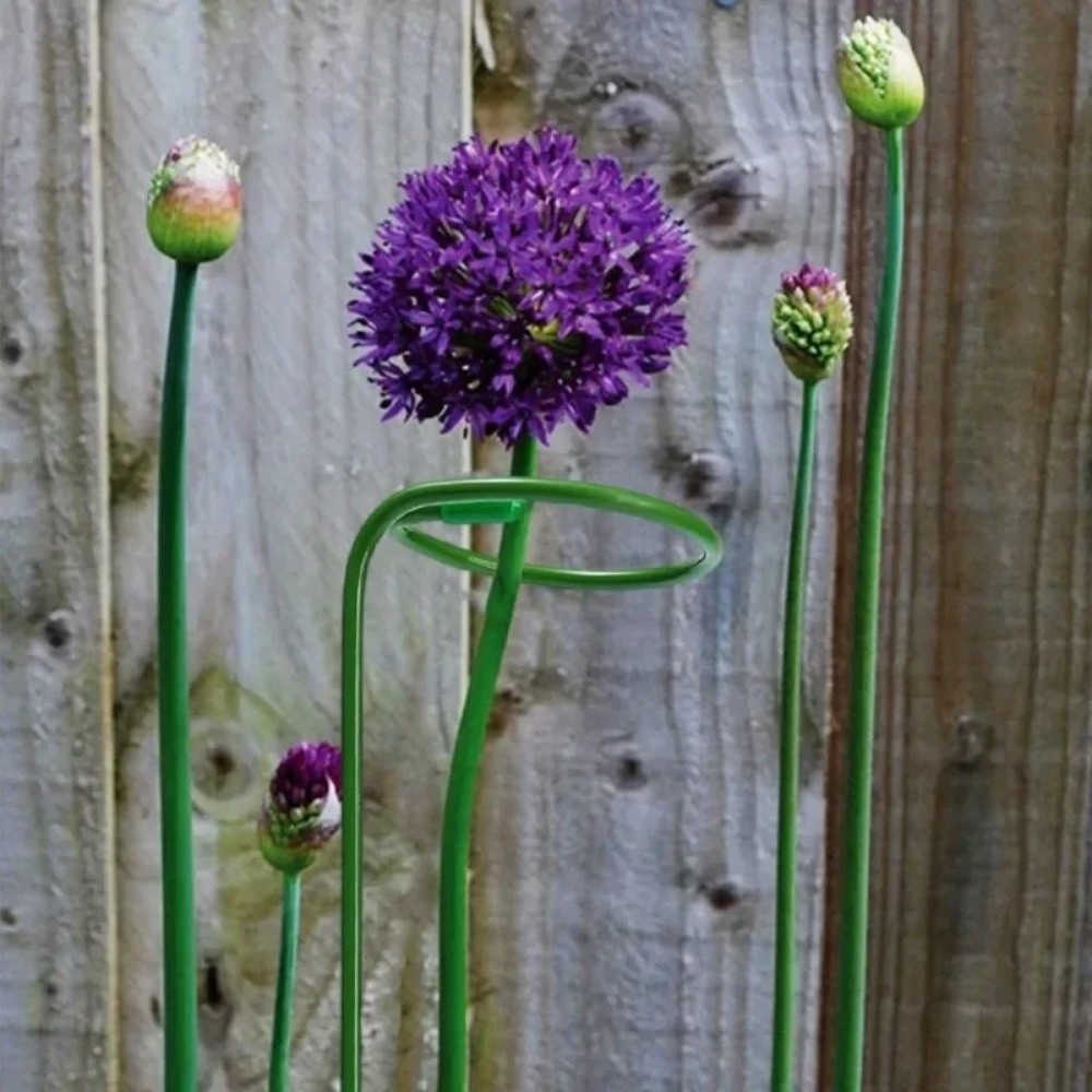 Nuovo Supporto in Metallo Anti - Gardening Tools For Beginners recensione e prezzo