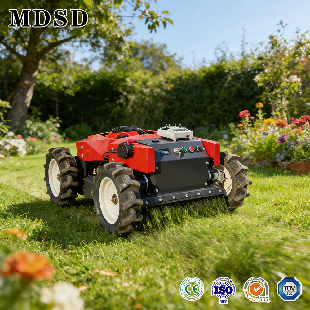 Nuovo Tagliaerba a Batteria 20 - Gardening Yard Tools recensione e prezzo