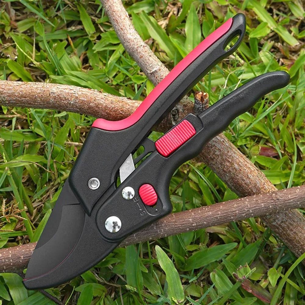 Cricchetto regolabile Giardina - Gardening Tools Sharp recensione e prezzo