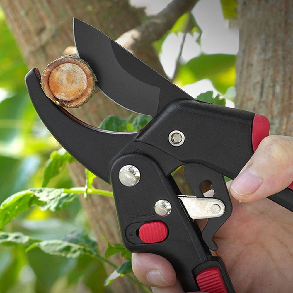 Cricchetto regolabile Giardina - Gardening Tools Sharp recensione e prezzo