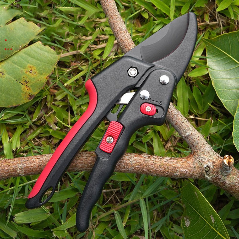 Cricchetto regolabile Giardina - Gardening Tools Sharp recensione e prezzo