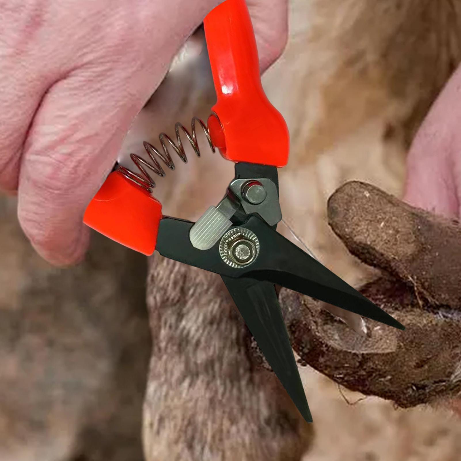 Forbici per zoccoli di pecore, - Garden Hand Trowel recensione e prezzo