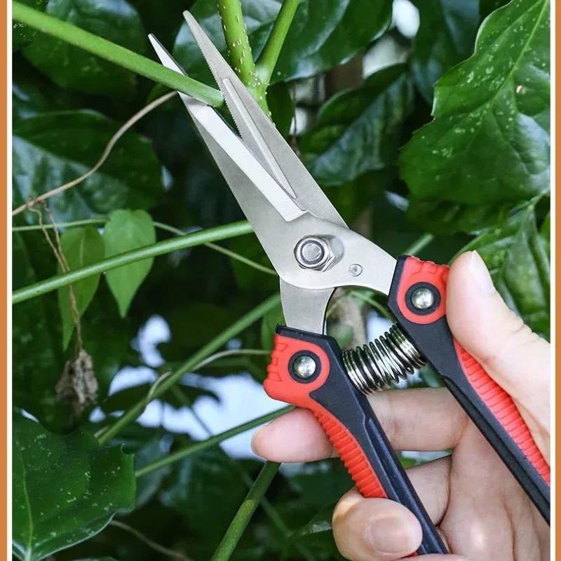 Forbici da Potatura NEWSHARK i - Gardening Tools Sharp recensione e prezzo
