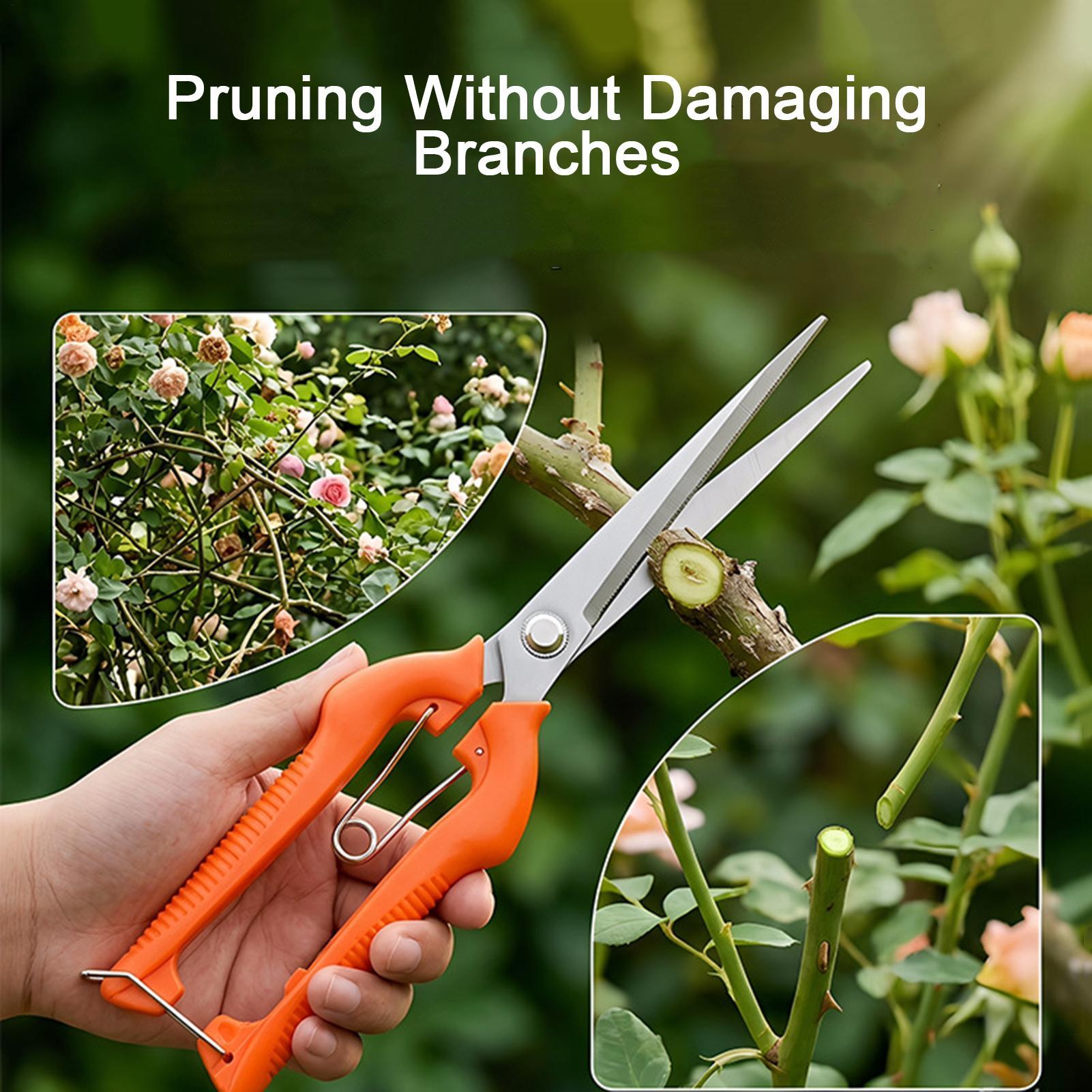 Forbici da Potatura Profession - Gardening Tools For Beginners recensione e prezzo