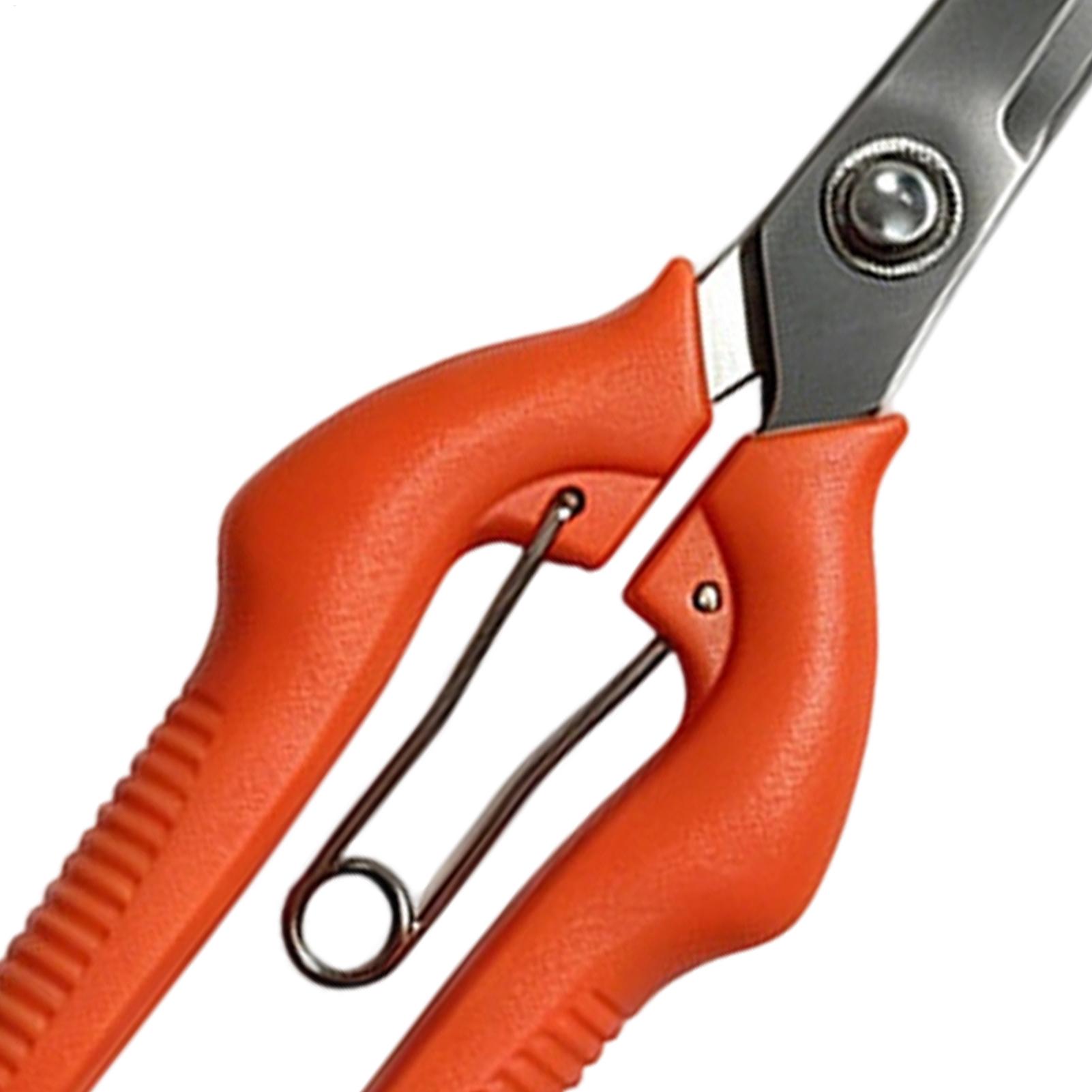 Forbici da Potatura Profession - Gardening Tools For Beginners recensione e prezzo