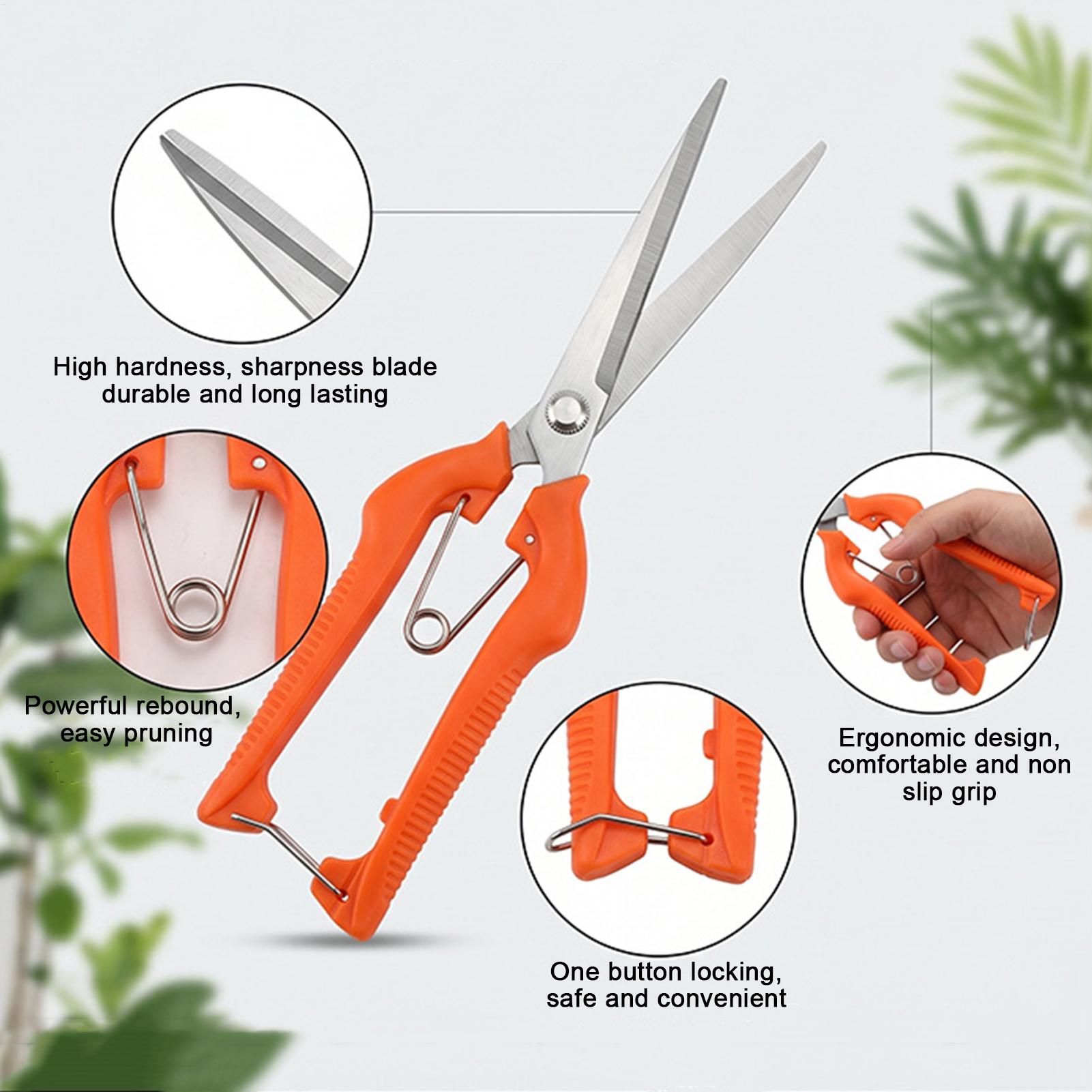 Forbici da Potatura Profession - Gardening Tools For Beginners recensione e prezzo
