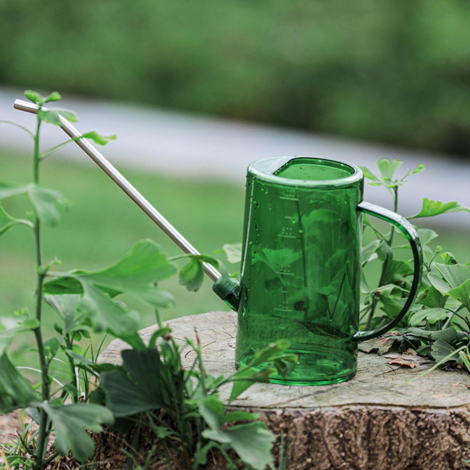 Annaffiatoio per Piante da Int - Gardening Tools For Beginners recensione e prezzo