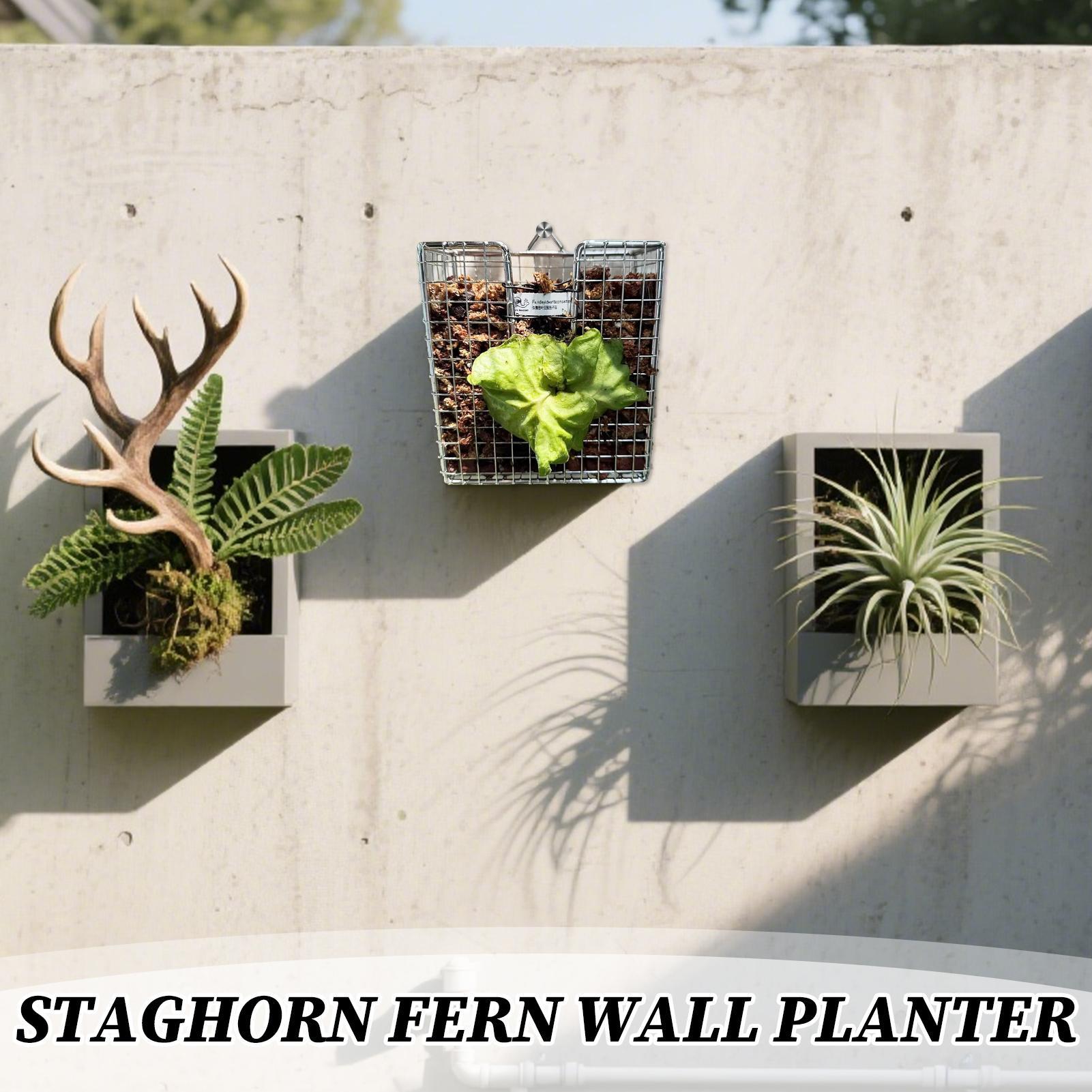 Kit di montaggio per felce Sta - Vertical Wall Planter recensione e prezzo