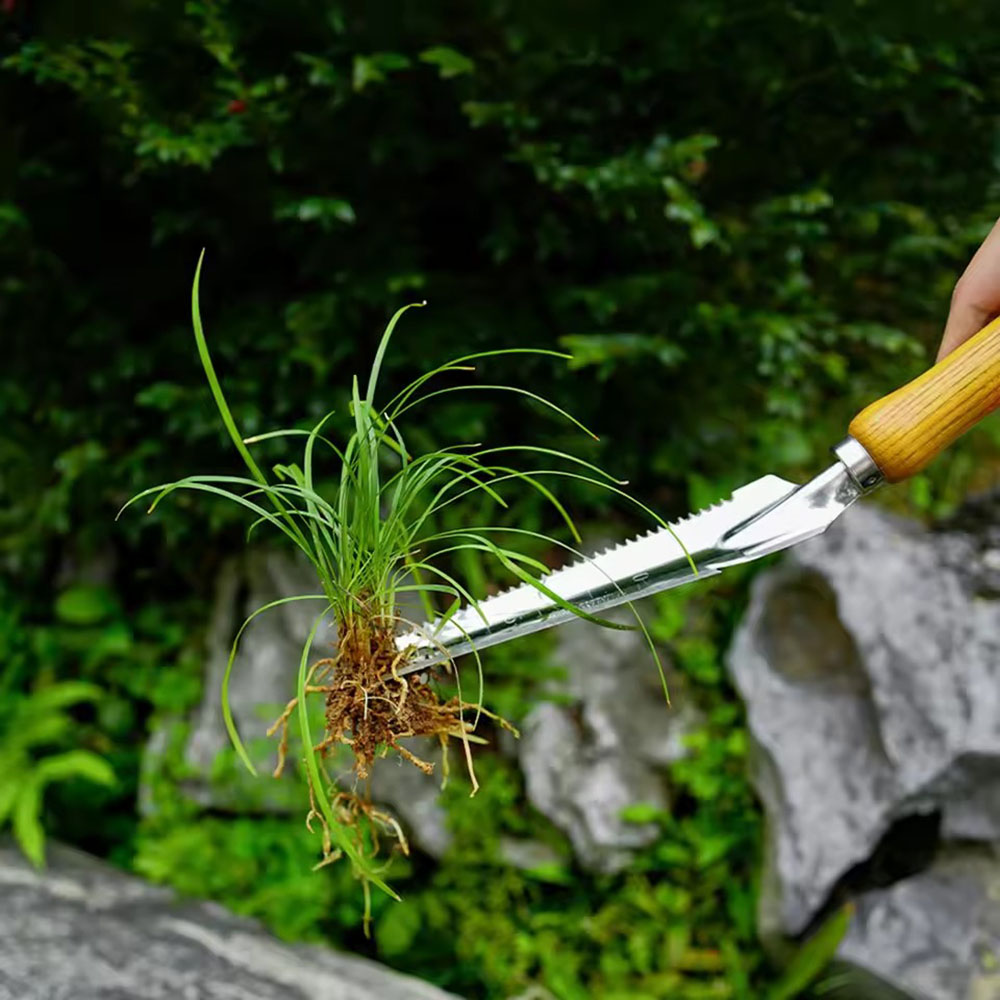 Attrezzo per la rimozione dell - Gardening Tools Sharp recensione e prezzo