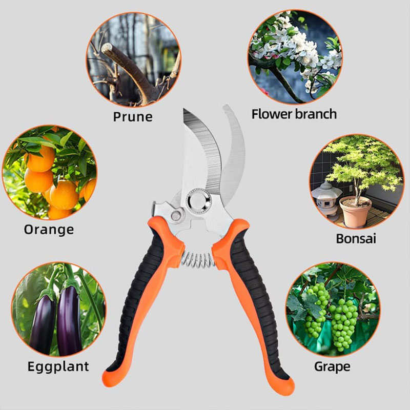 Forbici da Giardinaggio con Im - Gardening Tools Sharp recensione e prezzo