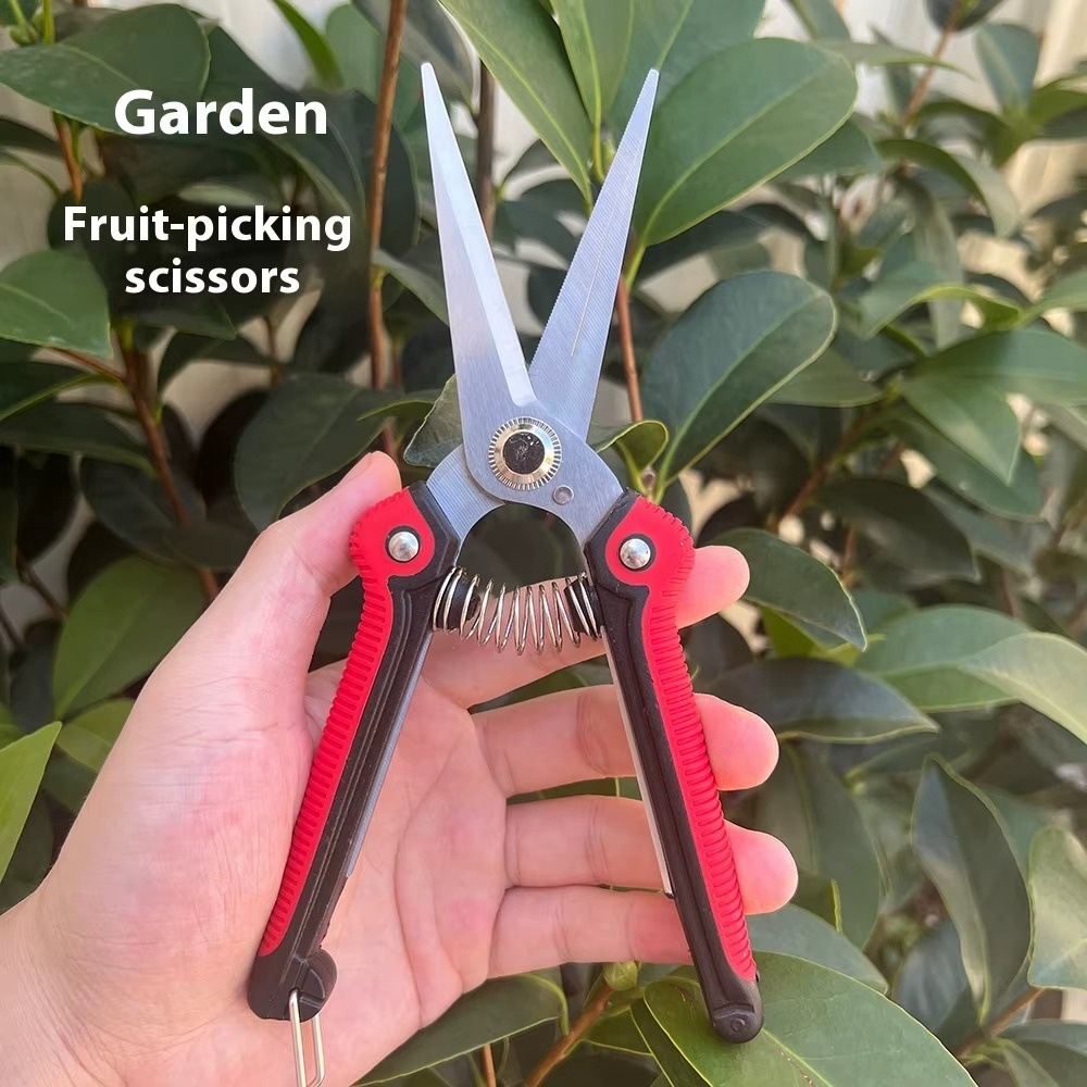 Forbici Professionali per Pota - Gardening Tools Sharp recensione e prezzo