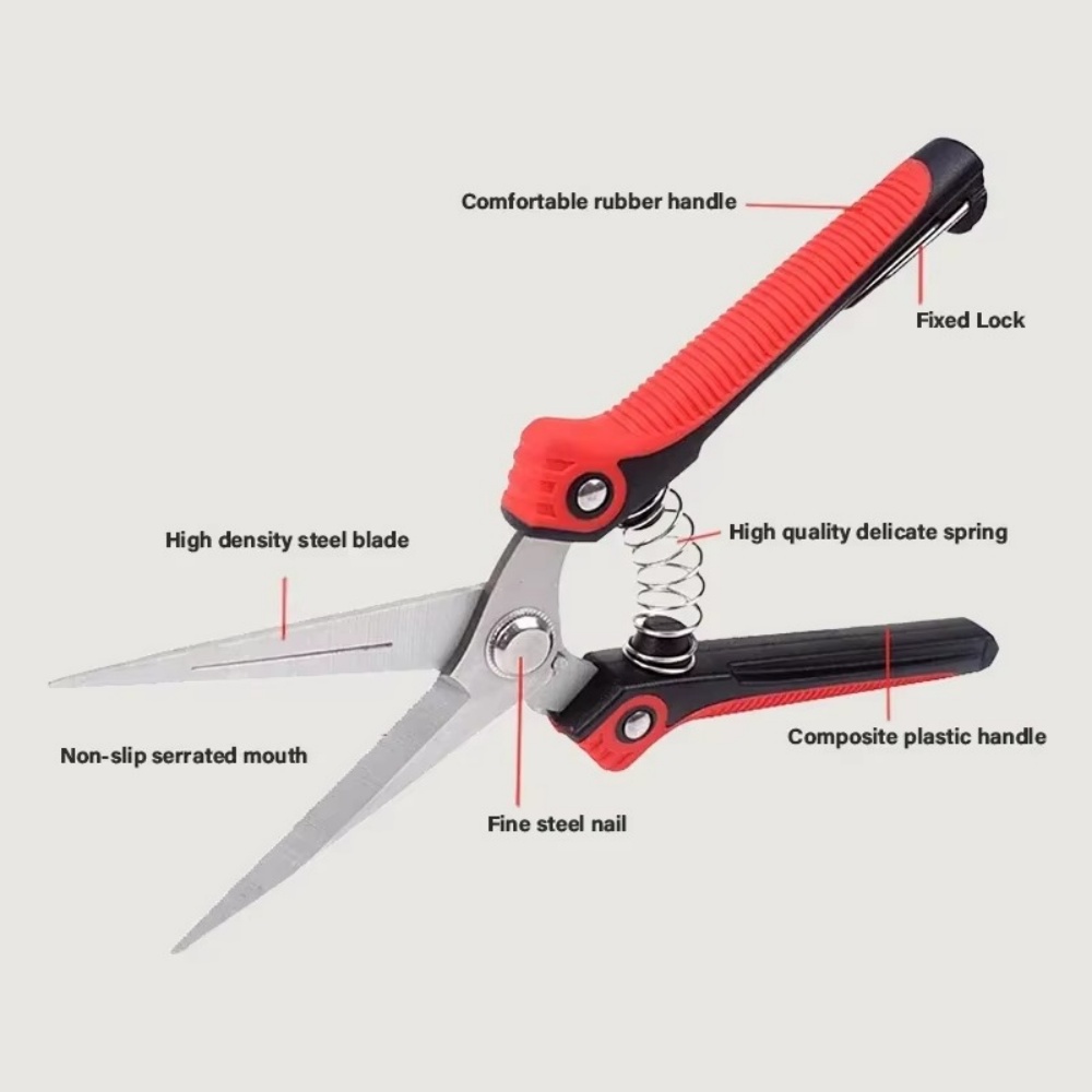 Forbici Professionali per Pota - Gardening Tools Sharp recensione e prezzo