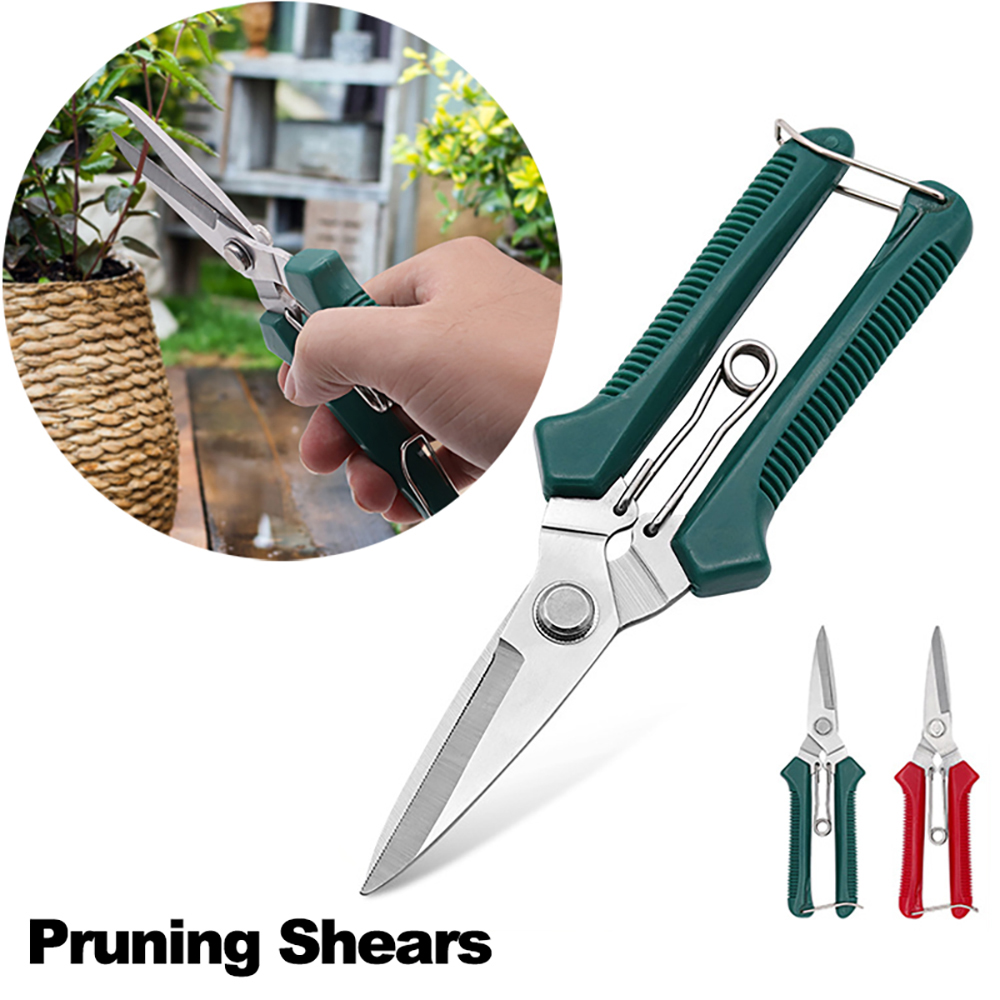 Forbici da Potatura per Bonsai - Gardening Tools Sharp recensione e prezzo