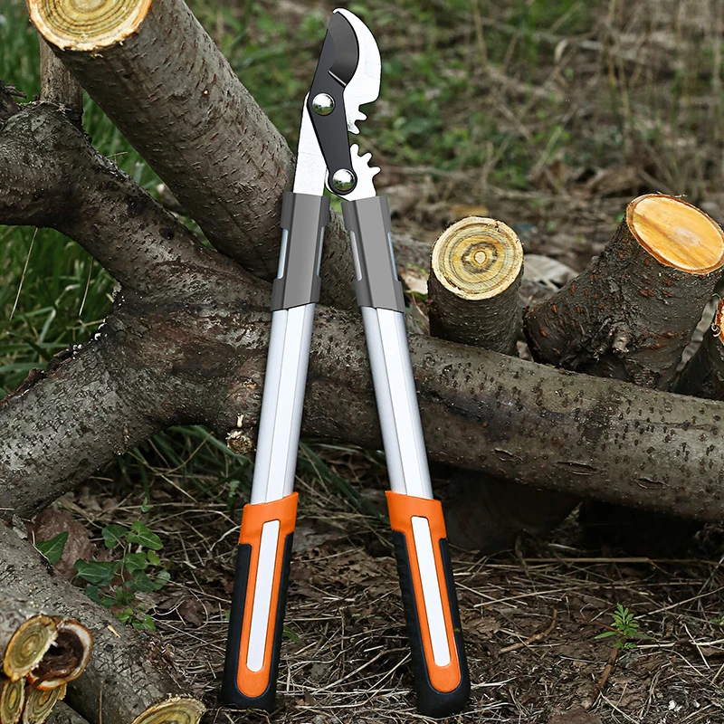 Forbici a lunga lunghezza Siep - Gardening Tools German recensione e prezzo