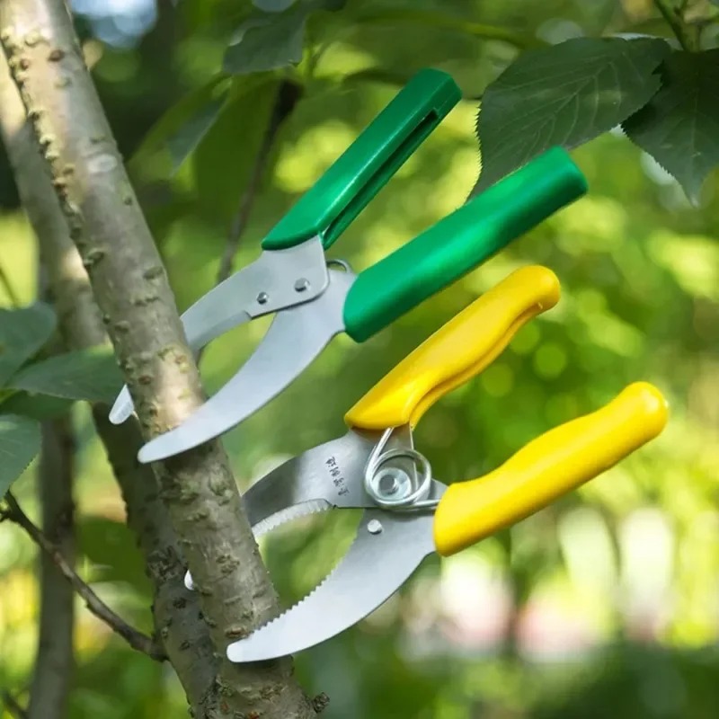 Coltello Affilato per Spellatu - Gardening Tools Sharp recensione e prezzo