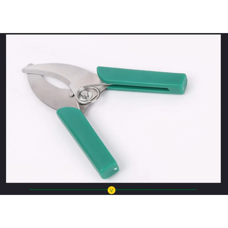 Coltello Affilato per Spellatu - Gardening Tools Sharp recensione e prezzo