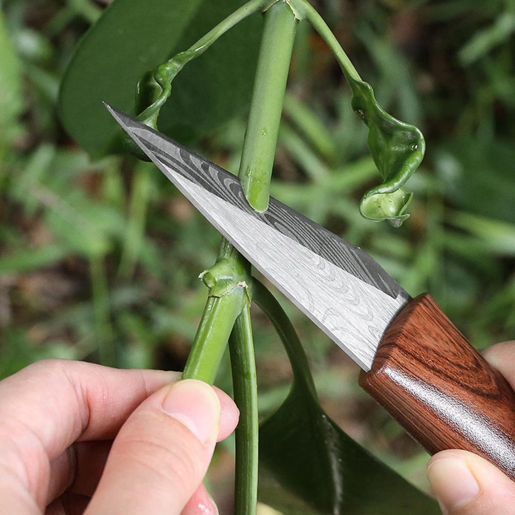 Coltello da Innesto Affilato c - Gardening Tools For Beginners recensione e prezzo