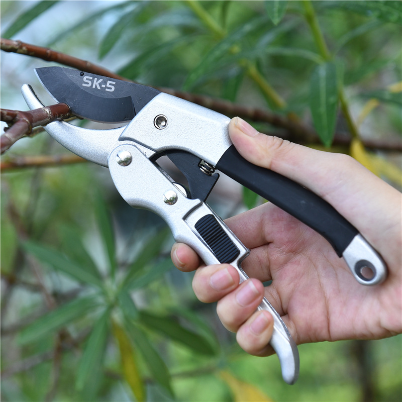 Nuovo 20 centimetri Ratchet Pi - Gardening Tools For Beginners recensione e prezzo