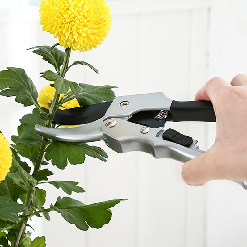 Nuovo 20 centimetri Ratchet Pi - Gardening Tools For Beginners recensione e prezzo
