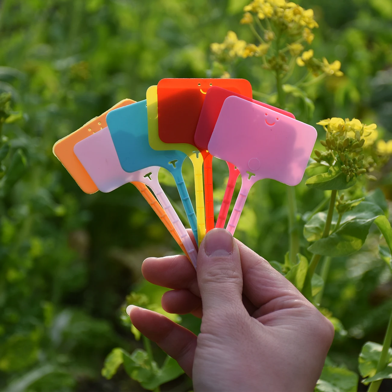 50PCS Etichette per piante da  - Gardening Tool Diy recensione e prezzo